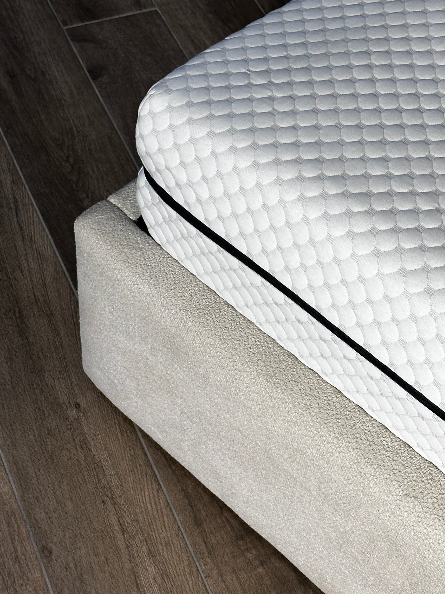 Shell Single Bed